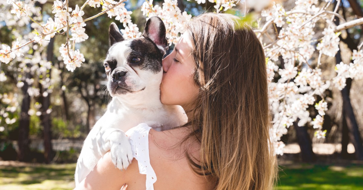 Understanding Seasonal Allergies in Pets